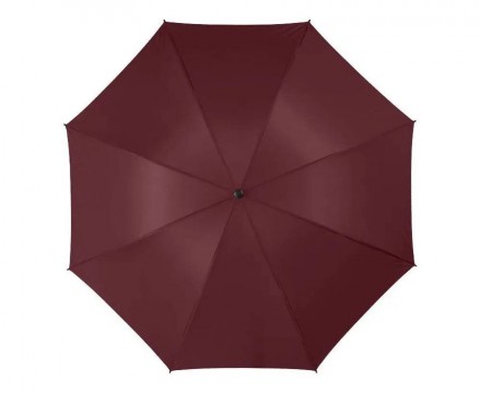 Зонт складной женский полуавтоматический Pasio, бордовый