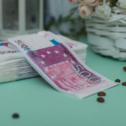 Необычные салфетки бумажные в виде денег 500 евро с рисунком - на свадьбу, юбилей и день рождения