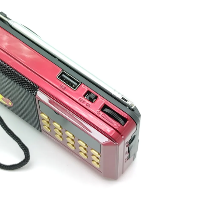 Радио приемник с аккумулятором и с флешкой - AUX 3.5mm, USB, microSD, компактный радиоприемник