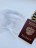 Защитные файлы для паспорта, чехлы для защиты листов 10шт