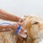 Щетка-душ для животных с массажным эффектом